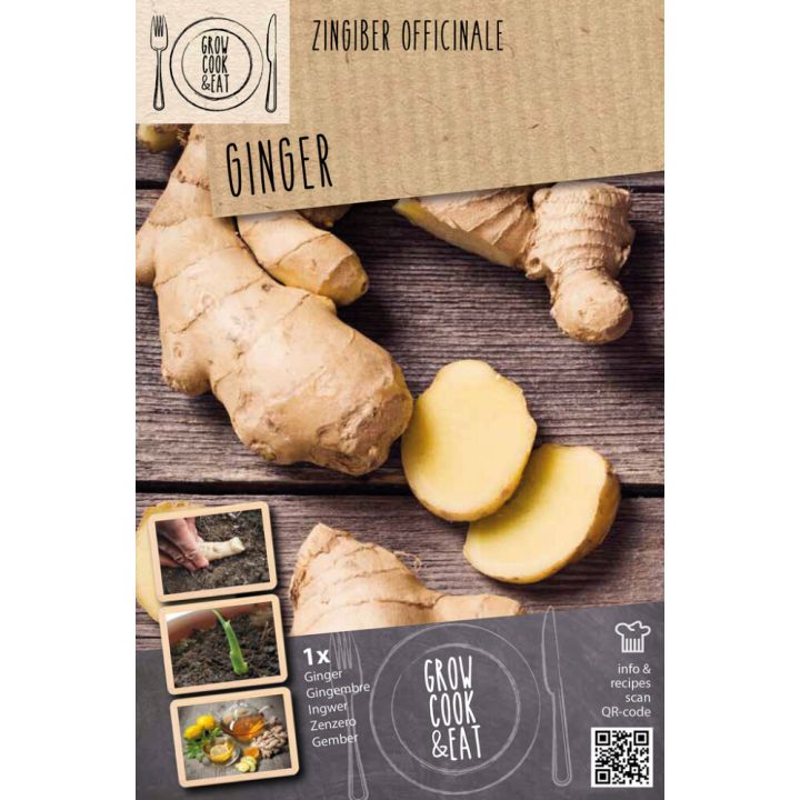 Ingver Kapiteyn 1 tk