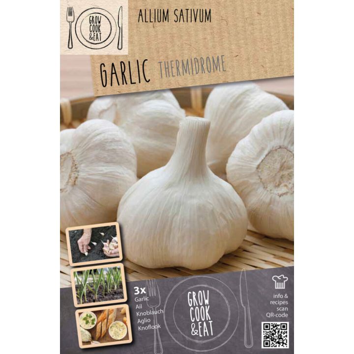 Küüslauk Kapiteyn Thermidrome White 3 tk