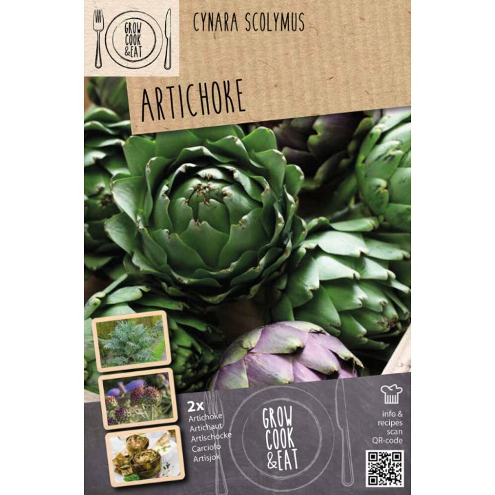 Harilik artišokk Kapiteyn 2 tk