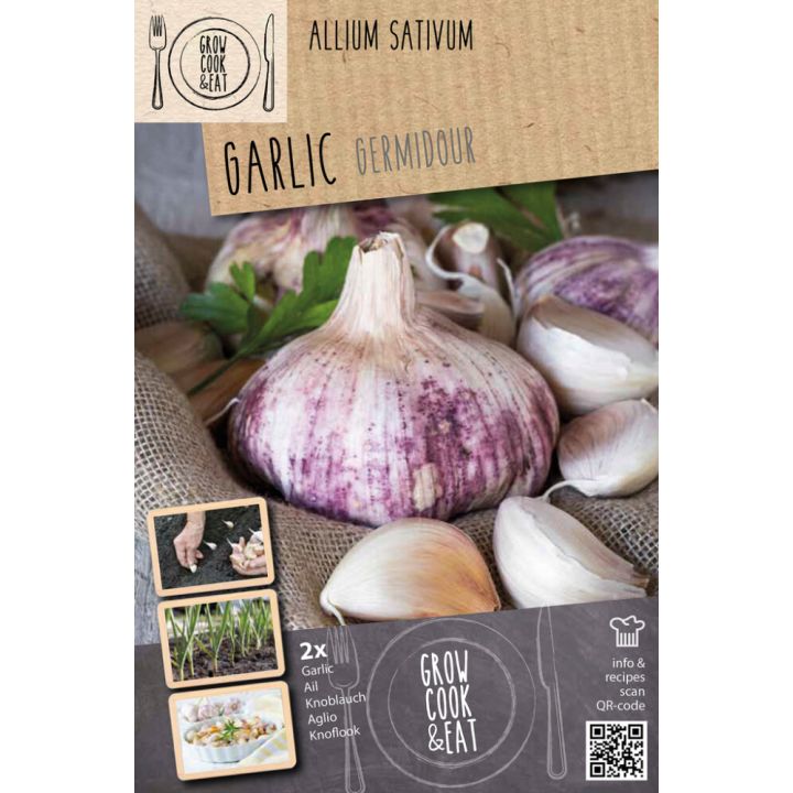 Küüslauk Germidour Pink 2 tk