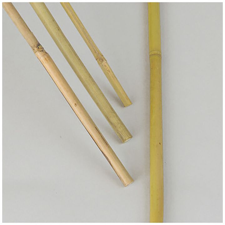 Tugikepp bambus 1,5 m