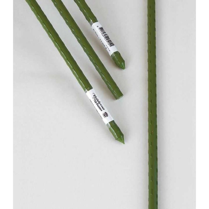 Taimetugi Nelson Garden 180 cm