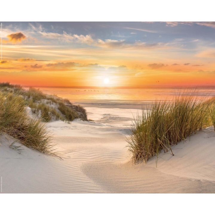 Sisustuspilt Reinders Beautiful Dunes 40 x 50 cm