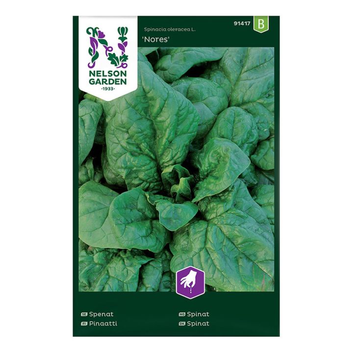 Spinat Nores
