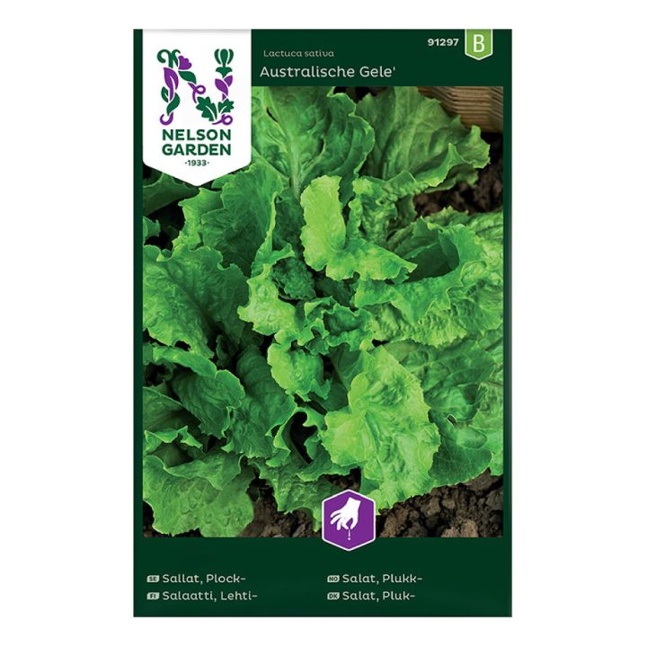Lehtsalat Australische Gele