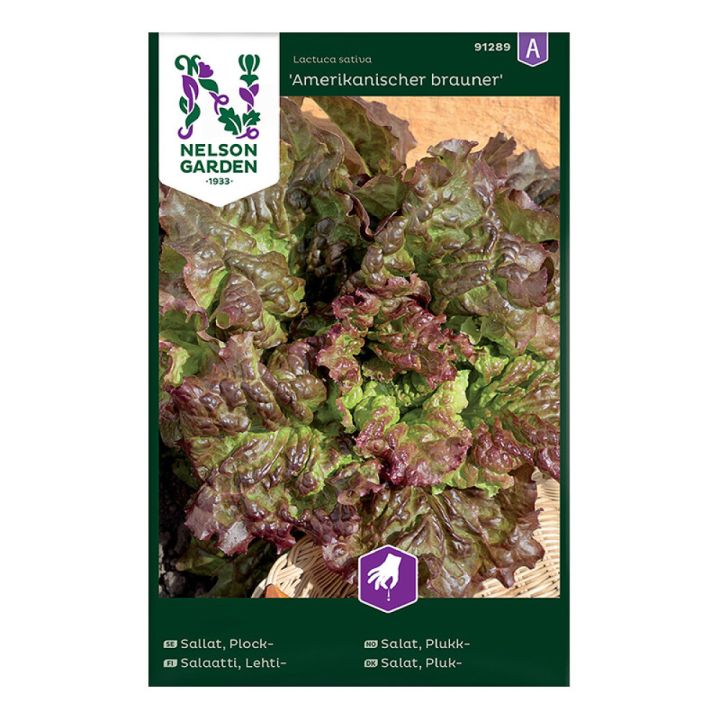 Lehtsalat Amerikanischer brauner