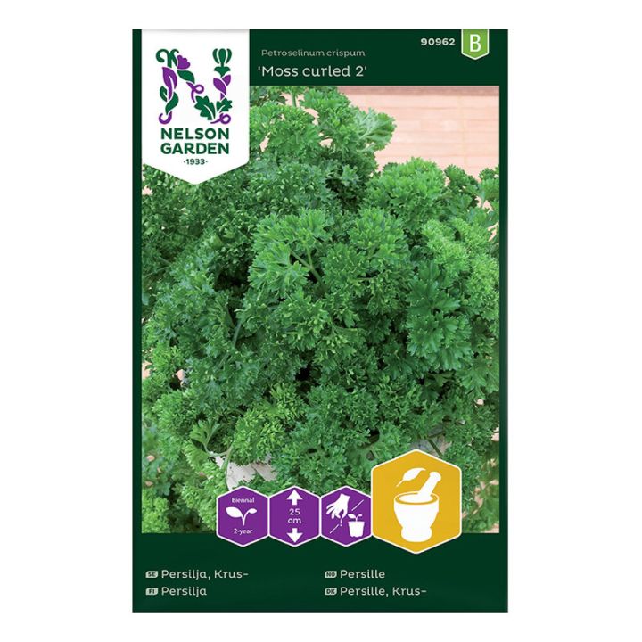 Kähar petersell Moss Curled 2