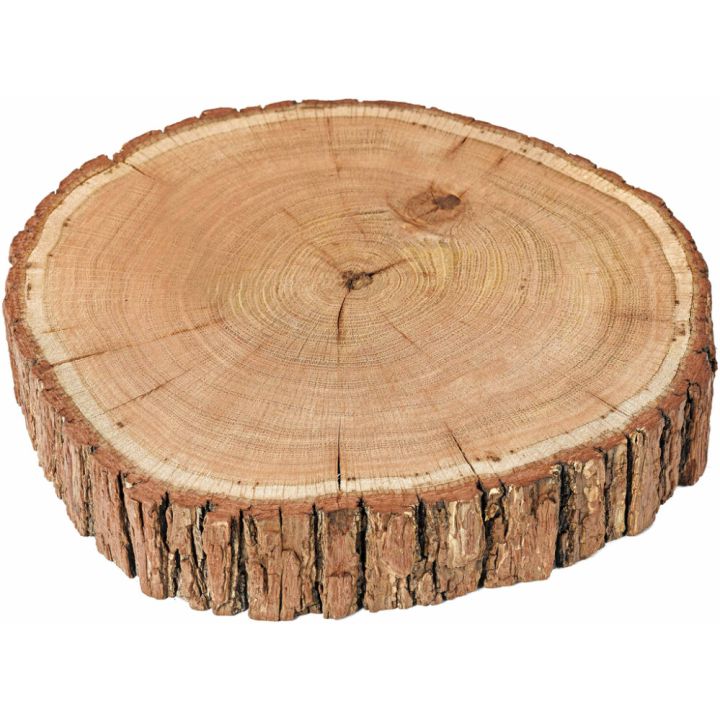 Puidust plaat tamm 20 - 30 cm