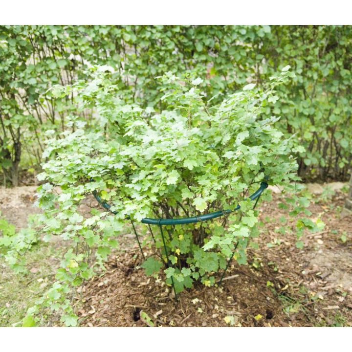 Põõsatugi ümmargune 92 cm