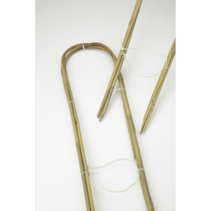 Taimetugi kaar 60 x 16 cm