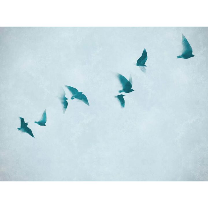 Fototapeet A.S. Creation Stories of Life 39923-1