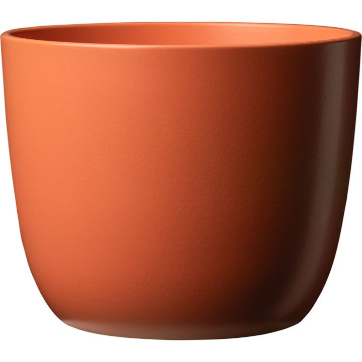 Ümbrispott priimula Sevilla 11 cm, punane