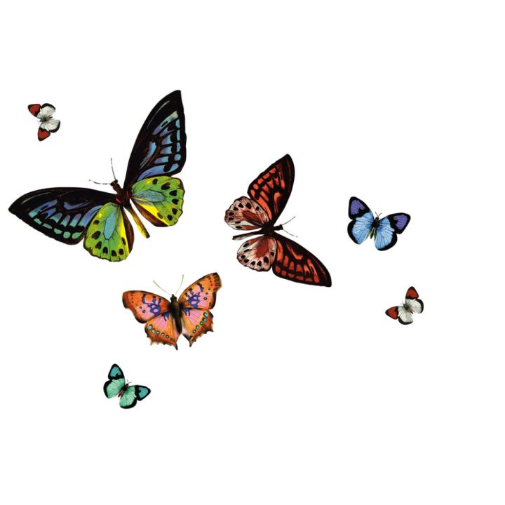 Taldrikualus D-C-Fix Rio Papilio 29 x 44 cm