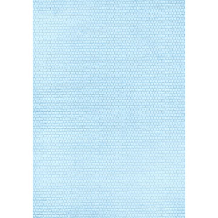 Klaaskiudtapeet Natura Hieno 12,5 m²