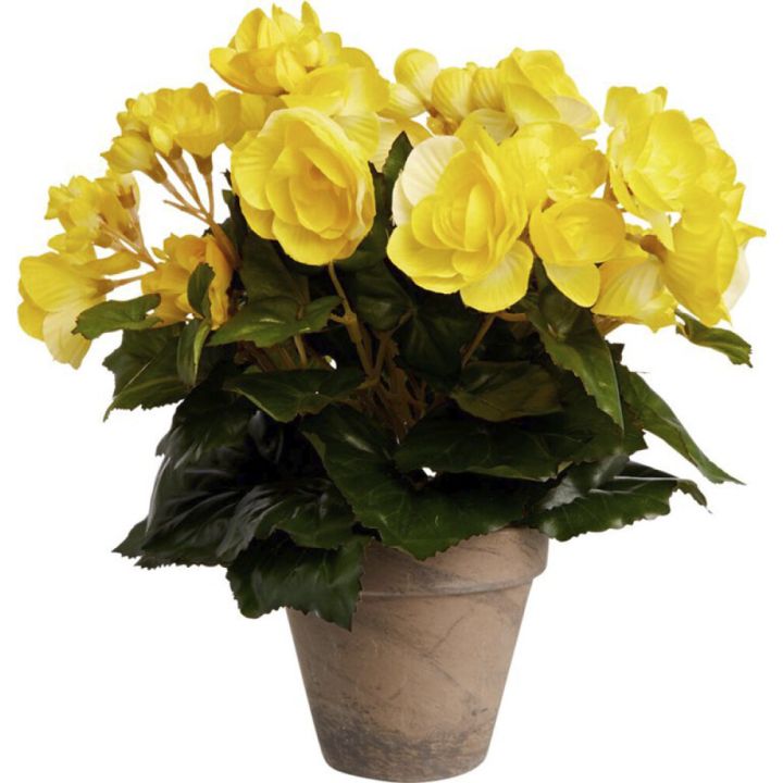 Kunstlill begoonia potis Ø 9 cm, kollane