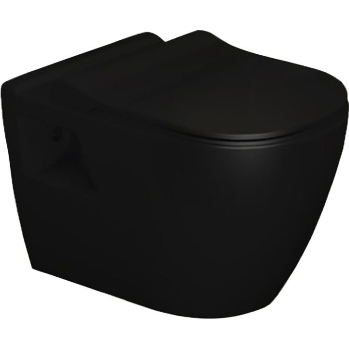 Seinapealne WC-pott Turavit Rondo Elegance