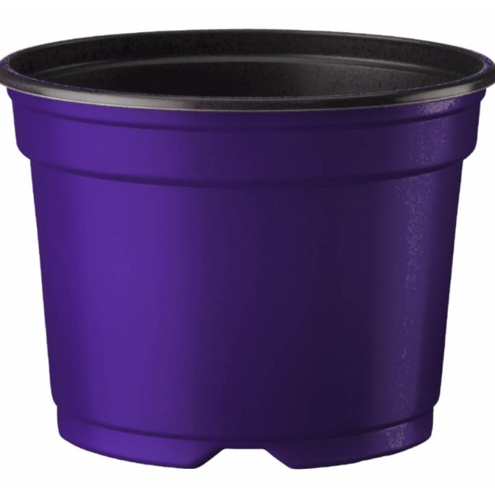 Ümarpott 10,5 cm, lilla