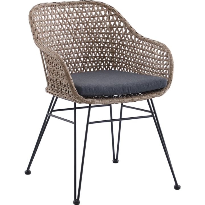 Tool Sunfun Ellen beežikashall