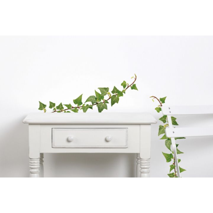 Seinakleebis Plage Iwy