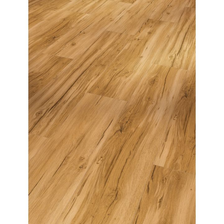 Näidis vinüülparketile Parador Basic 5.3 tamm Memory Natural