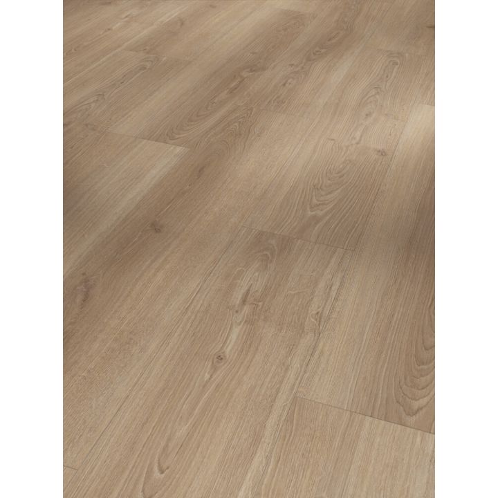 Näidis laminaatparketile Parador Basic 600 tamm Studioline macchiato