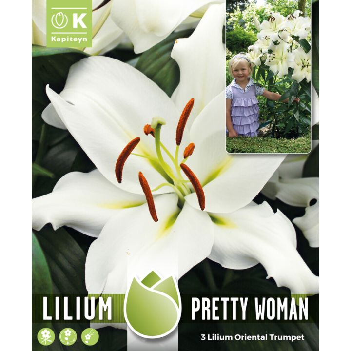 Hübriidliilia Pretty Woman 3 tk