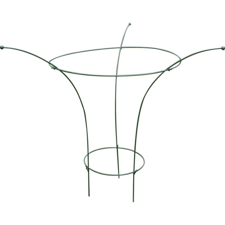 Taimetugi pojengile 90 cm