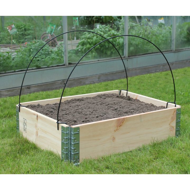 Kaartoed kattekangale 2 tk