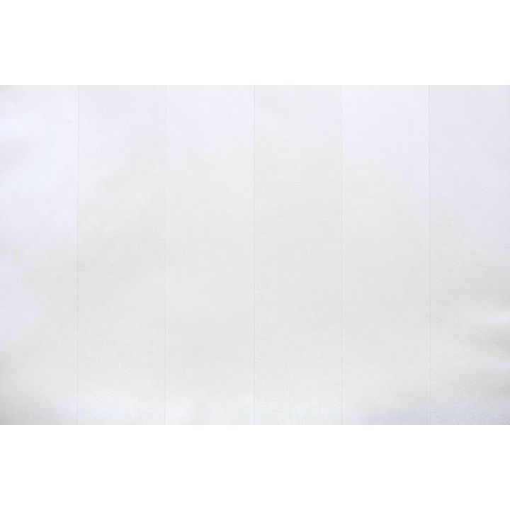 Värvitav tapeet Sandudd Triip 1002-2, 0,53 x 10,05 m