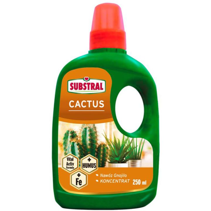 Kaktuse väetis Substral 250 ml