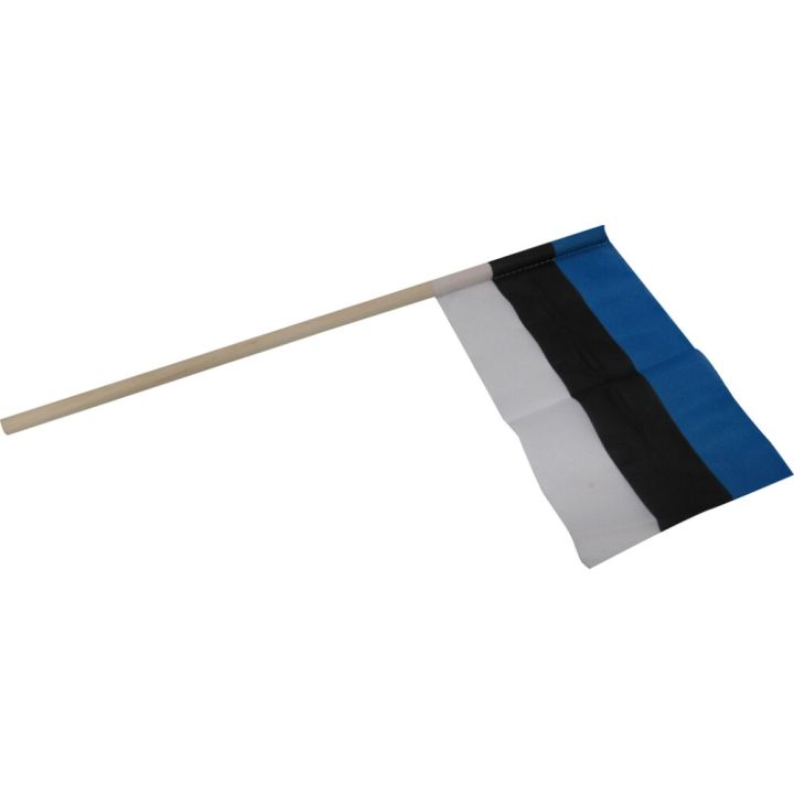 Käsilipp 30 x 19 cm