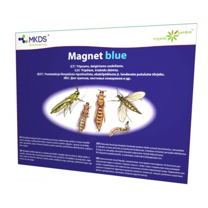 Magnet blue liimpüünis