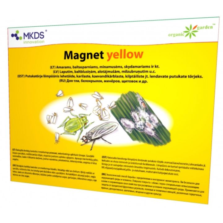 Magnet yellow liimpüünis
