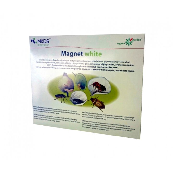 Liimpüünis Holding Invest Magnet white 1 tk