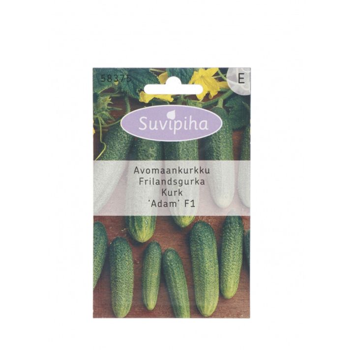 Avamaakurk Suvipiha Adam F1, 10 seemet