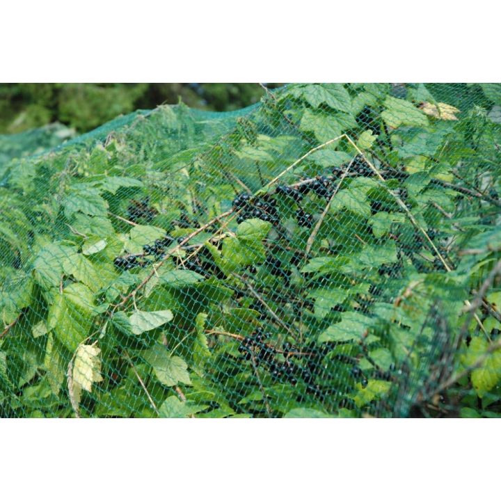 Linnuvõrk Tarha 40 m²