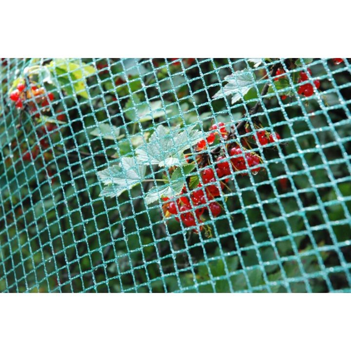 Linnuvõrk väiksesilmaline 20  m²