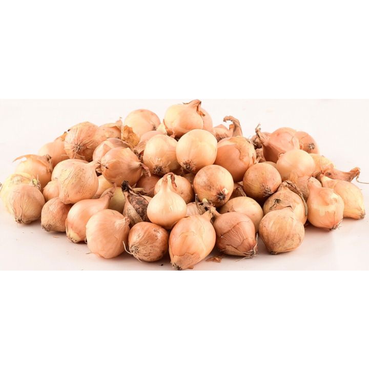 Tippsibul Stuttgarter Riesen 1 kg