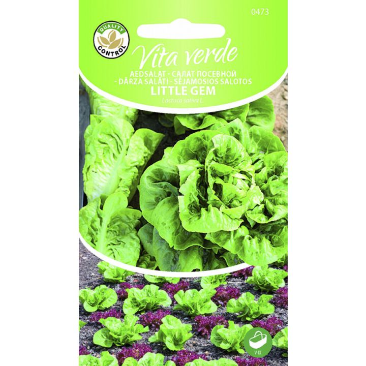 Rooma salat Littlegem