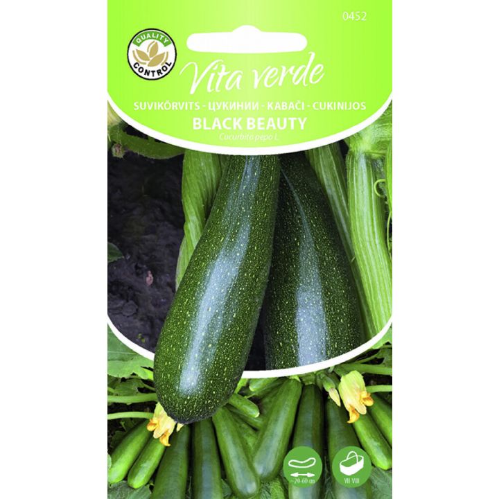 Suvikõrvits Black Beauty