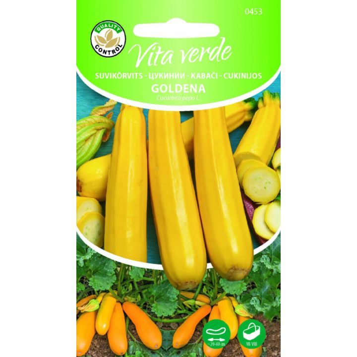 Suvikõrvits Goldena