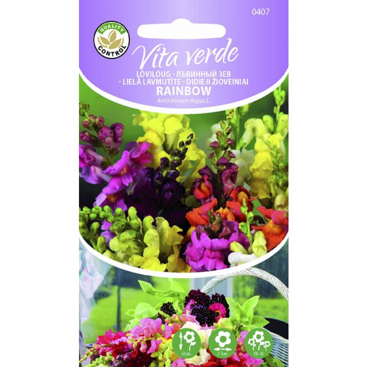 Suur lõvilõug Rainbow