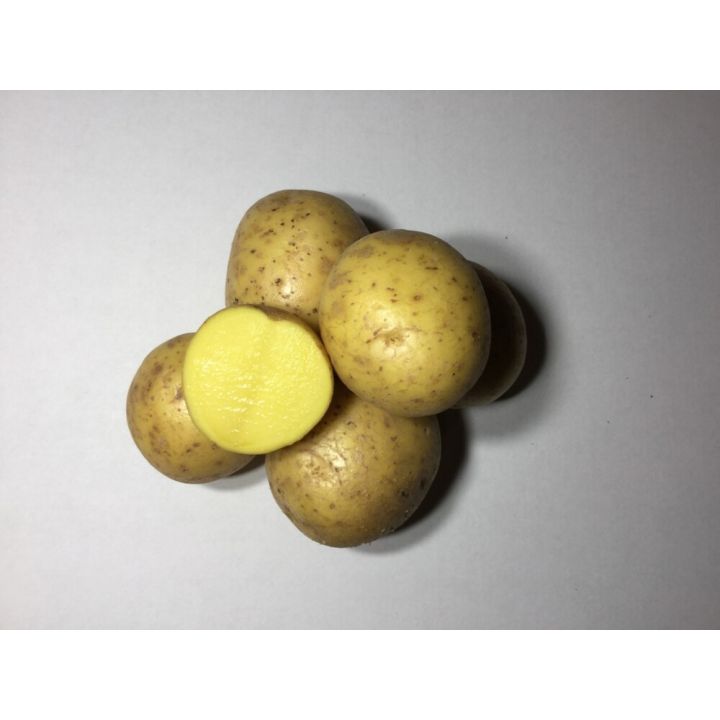 Seemnekartul Gala A 5 kg