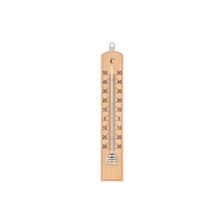 Termomeeter sise/välis 20 cm