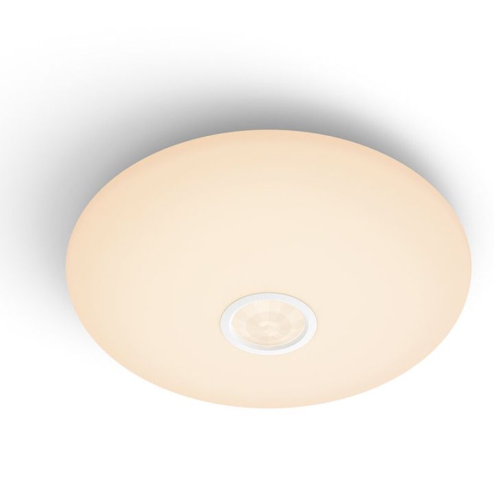LED-laevalgusti Philips Mauve PIR Ø 25 cm