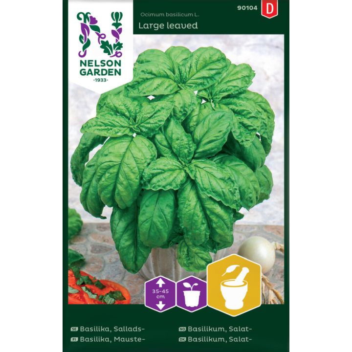 Basiilik Large leaved