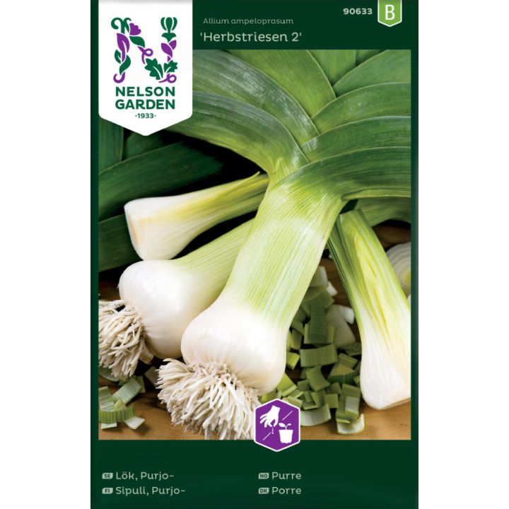 Porrulauk Herbstriesen 2