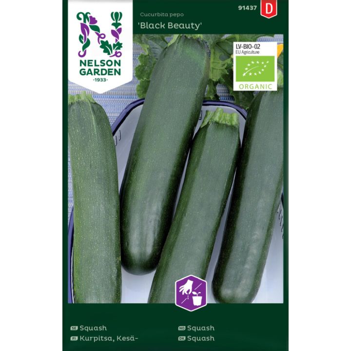 Suvikõrvits Black Beauty