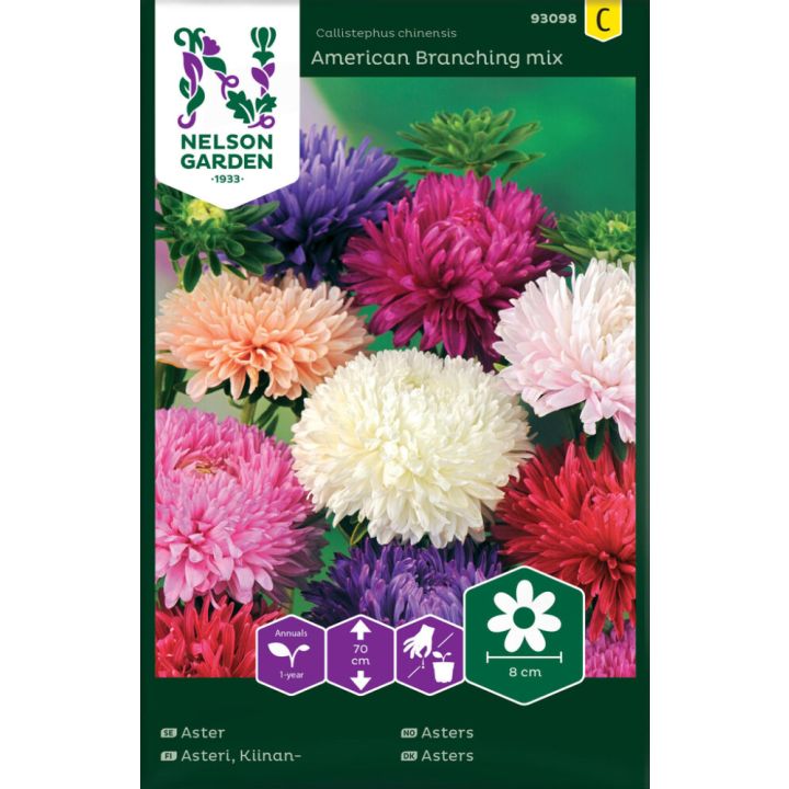 Hiina aedaster American Branchig mix