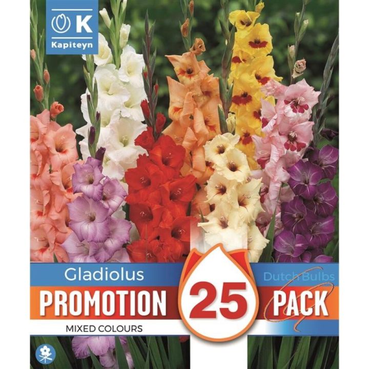 Gladiooli Promotion mix